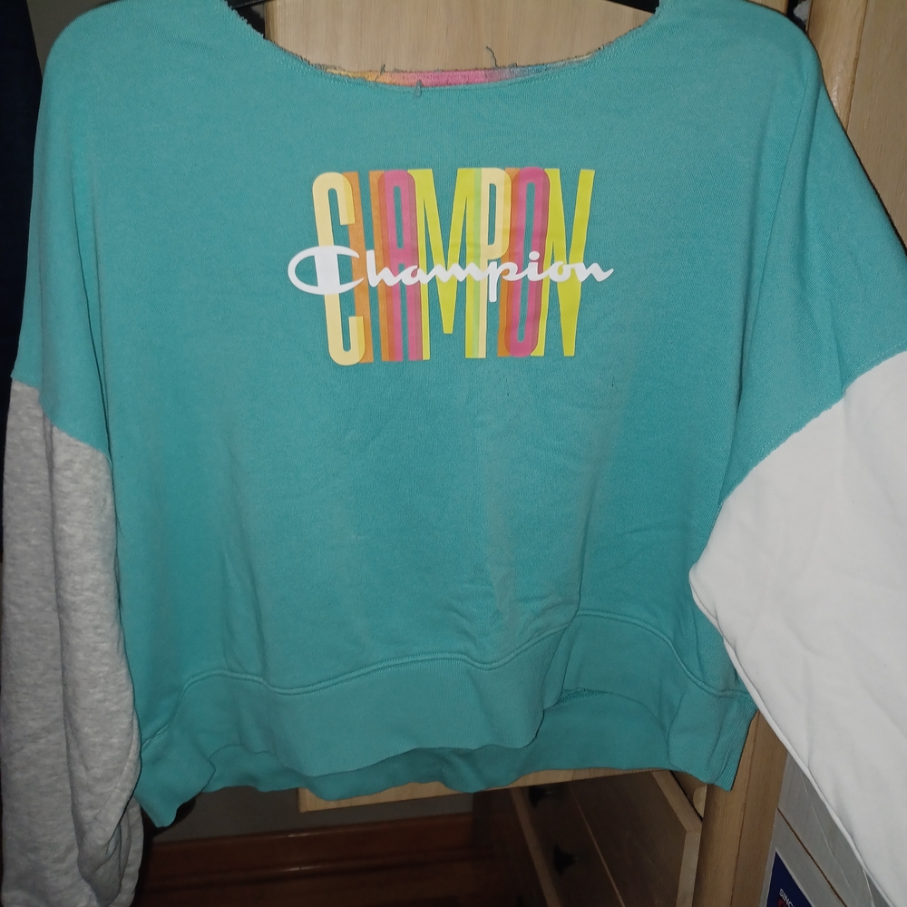 Champion Multicolor Striped Tee